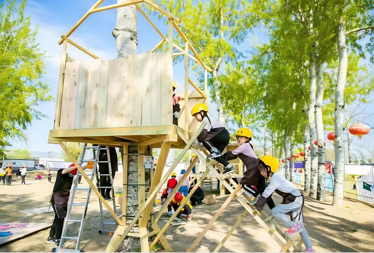 树屋周期营-飞屋环游记原版复刻——树屋搭建项目探究